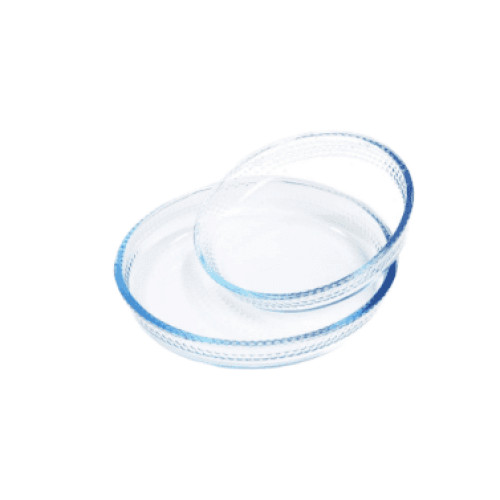BORART 145322 TEPSI QELQI 2/1 310X46,256X43 ME PIKA
