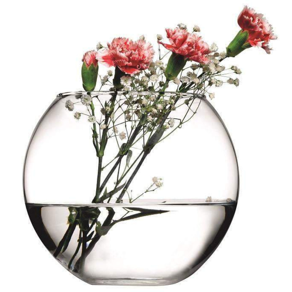BOTANICA 45068 1/1 VAZO QELQI