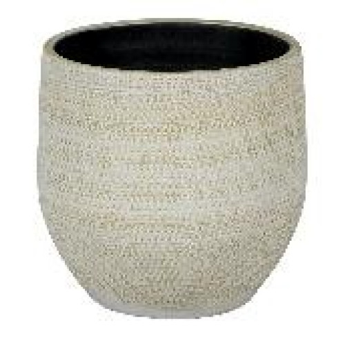 BOAZ 1-01WY WHITE/GOLD FI29CM/H27CM