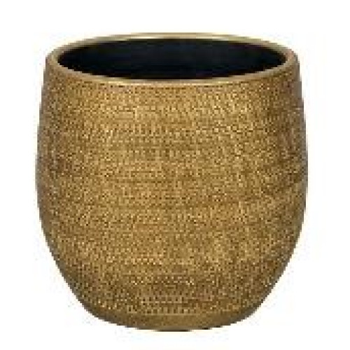 BOAZ 1-01Y GOLD FI24CM/H22CM