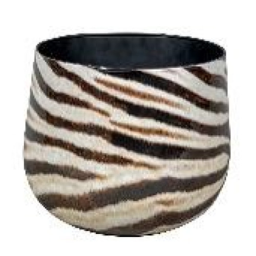 ZEBRA 1-01 FI32CM/H28CM